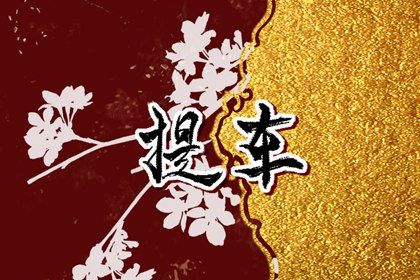 2025年08月18日是不是提车吉日 今日提新车好不好