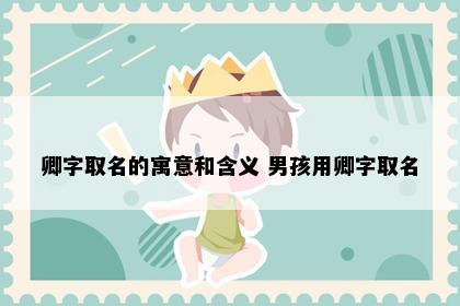 卿字取名的寓意和含义 男孩用卿字取名