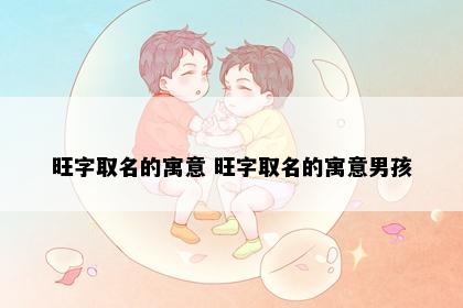 旺字取名的寓意 旺字取名的寓意男孩