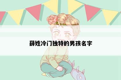 薛姓冷门独特的男孩名字