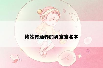 褚姓有涵养的男宝宝名字