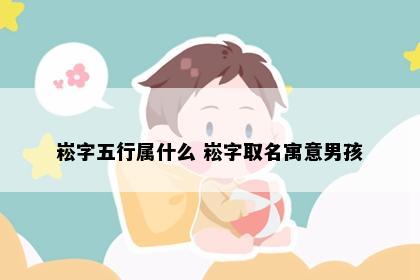 崧字五行属什么 崧字取名寓意男孩